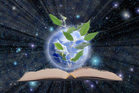 Akashic Records Reading