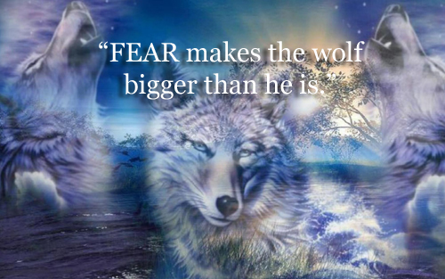 feed the wolf fear