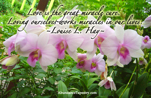 louis hay quote