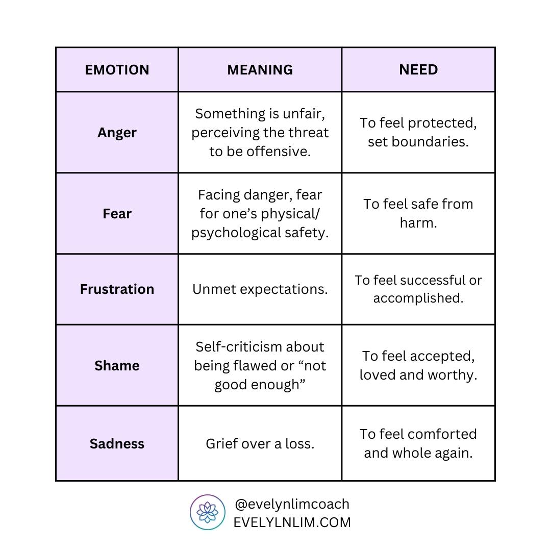 Emotions: Feelings and Their Meanings 