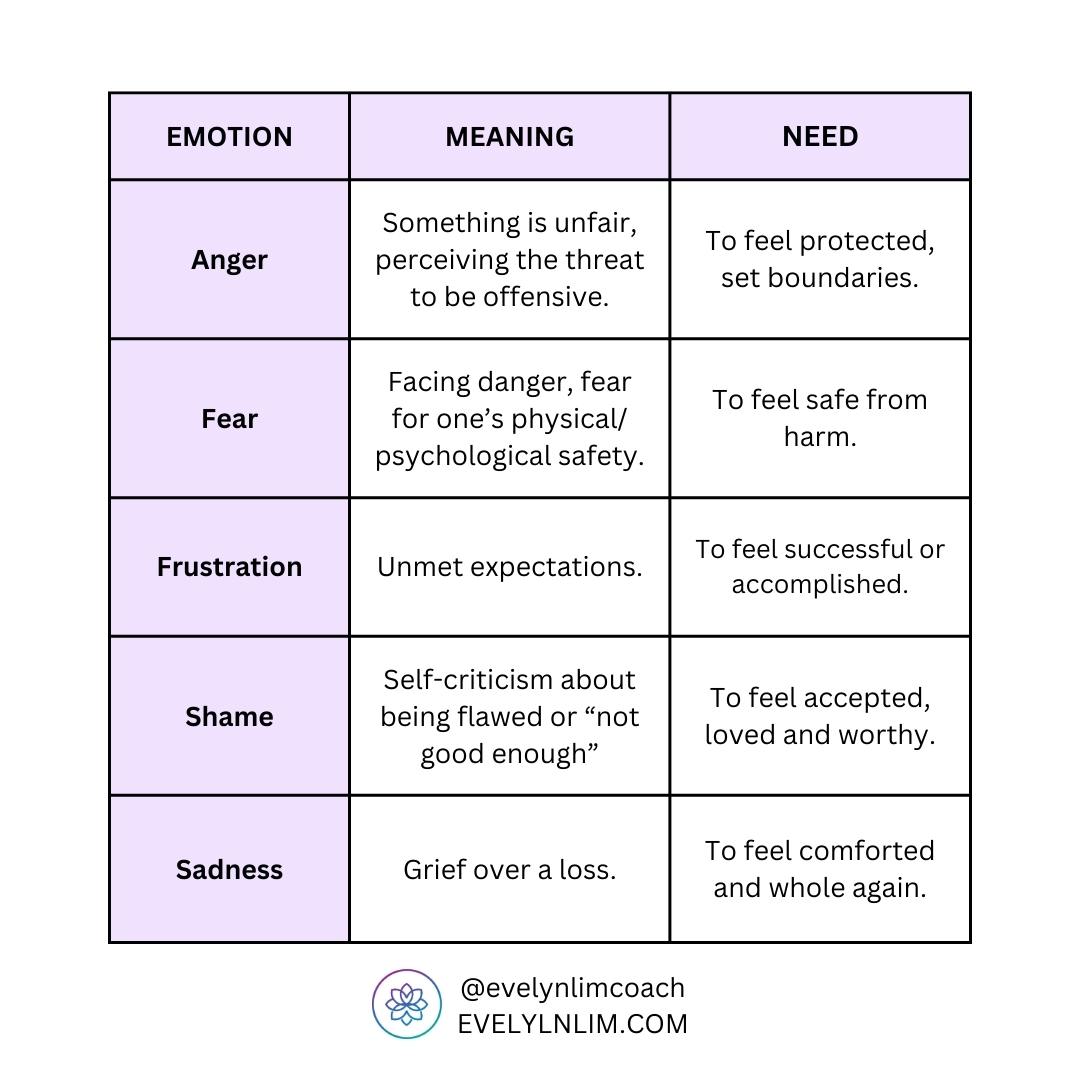 Emociones: sentimientos y sus significados 