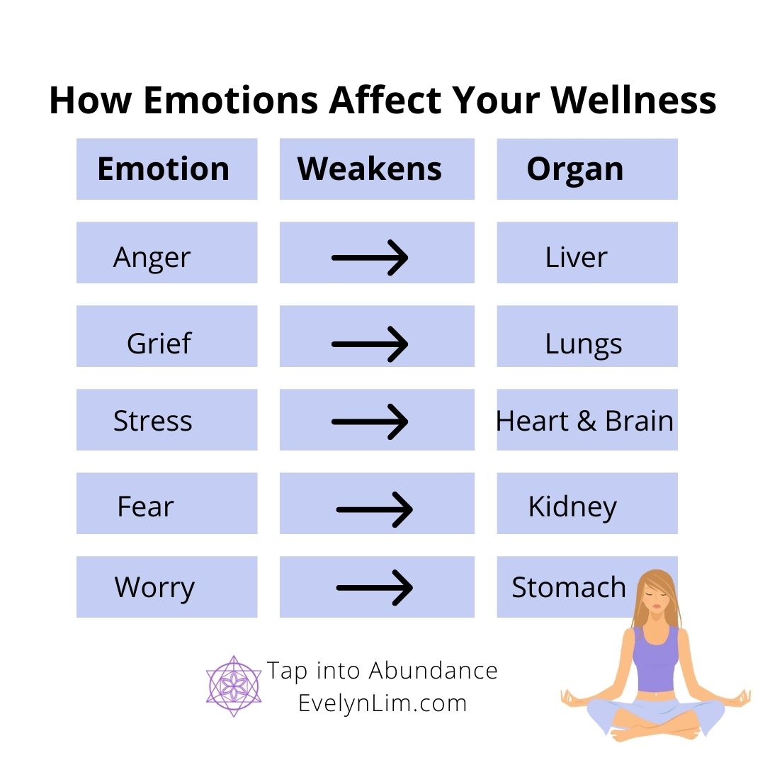 How Emotions are Related to Organs