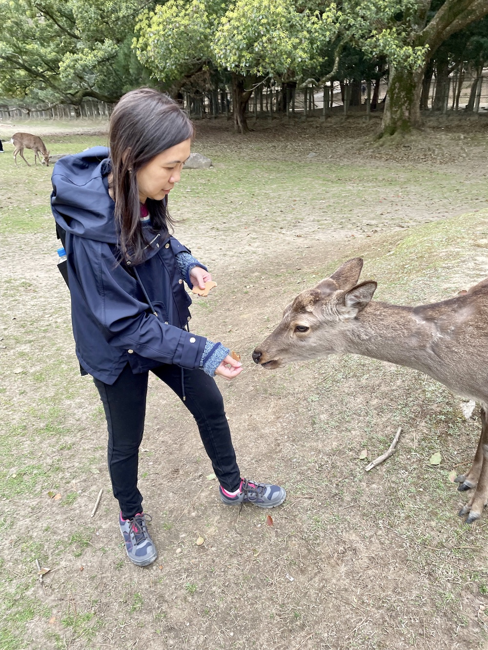 How emotions got stuck in the deer