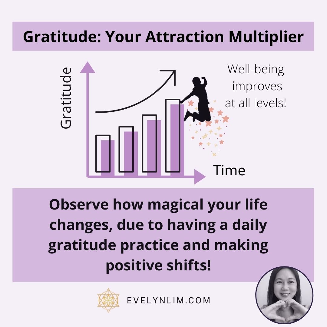 Daily Gratitude Attraction Multiplier