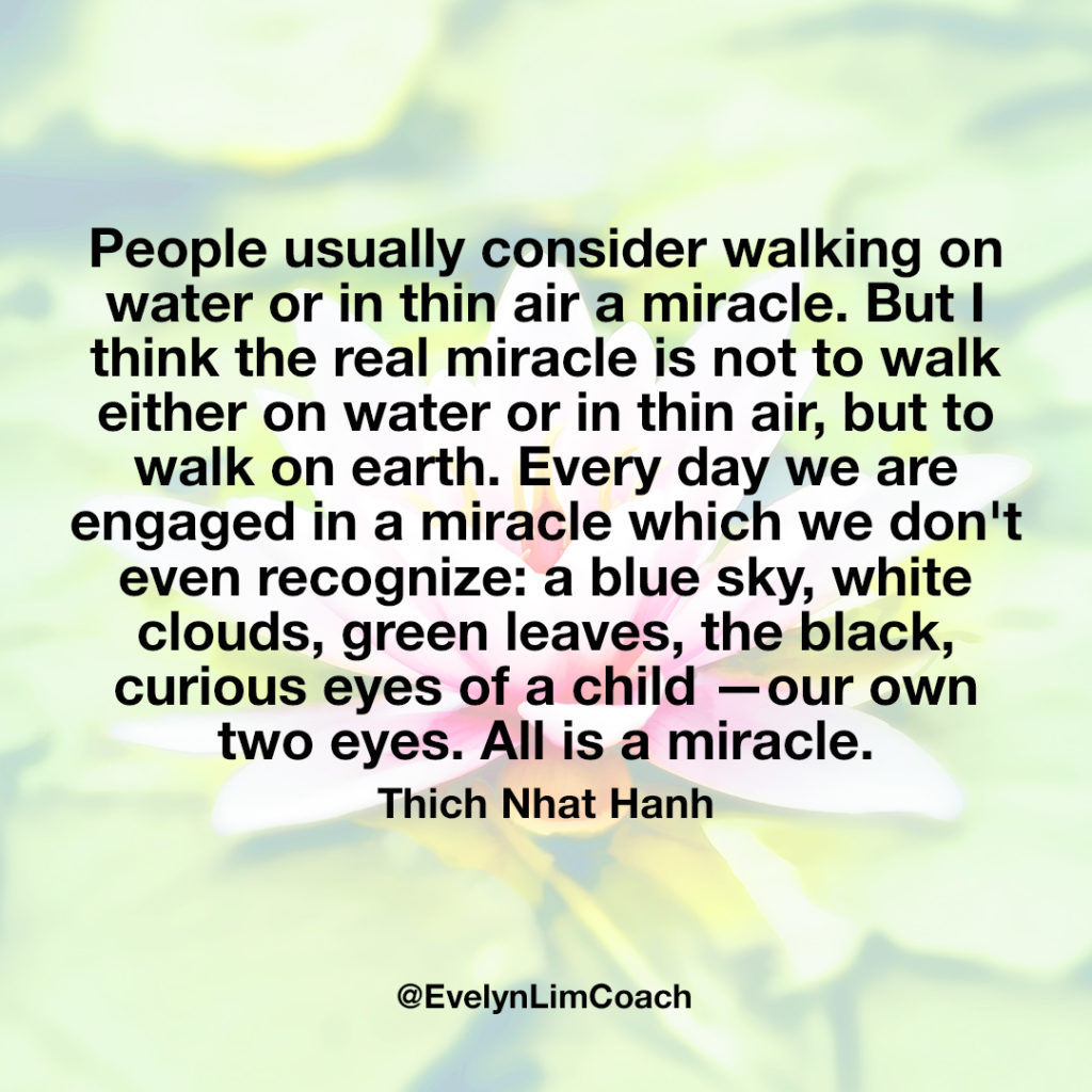 don t even recognize a blue sky white clouds green leaves the black curious eyes of a child – our own two eyes All is a miracle ” Thich Nhat Hanh