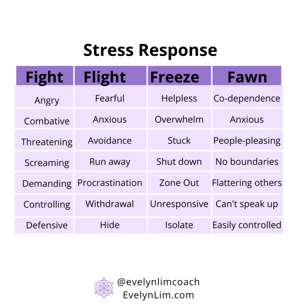What is the Fight-Flight-Freeze-Fawn Stress Response - Abundance Coach ...